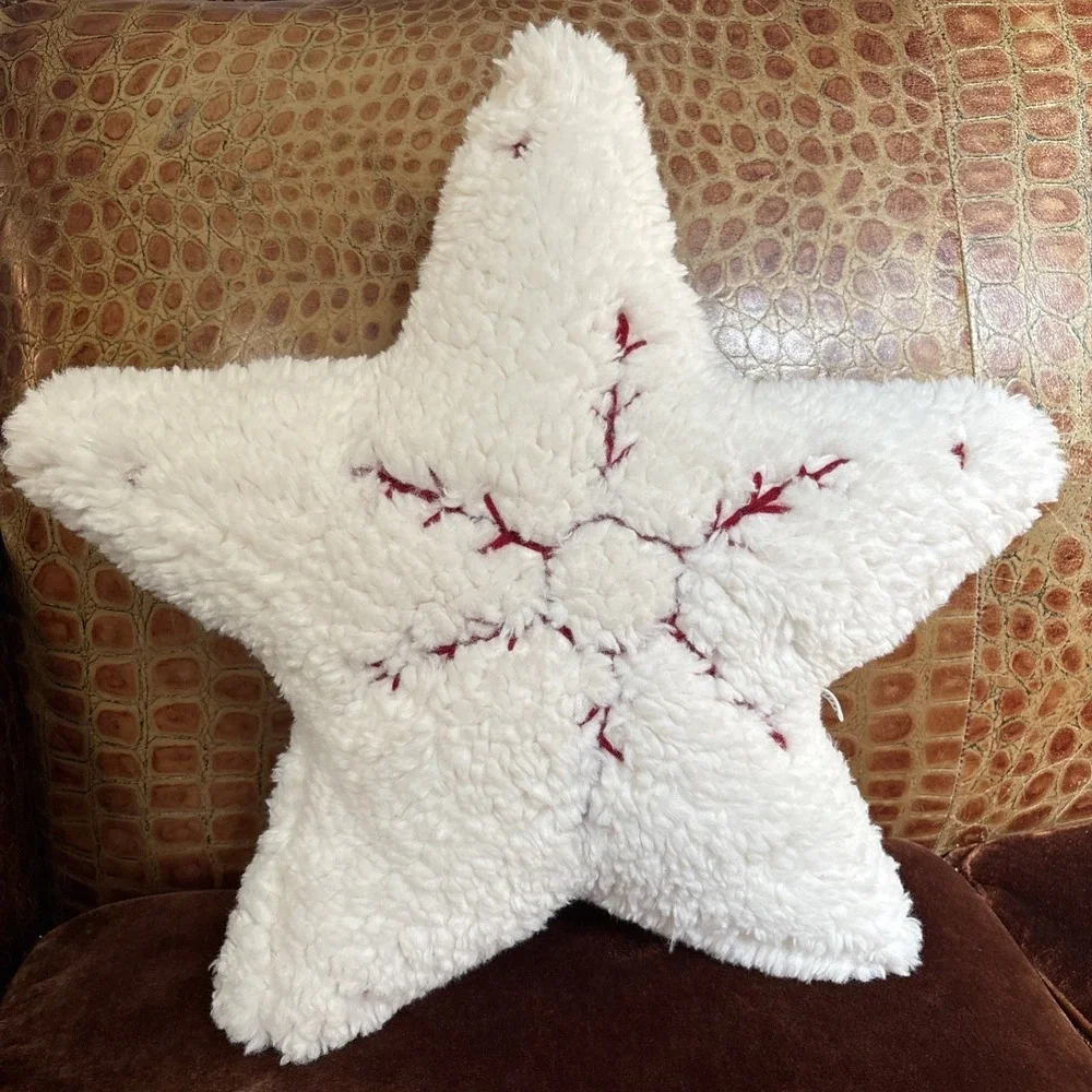 Pottery Barn Cozy Embroidered Snowflake Star Shaped Decorative Pillow Christmas